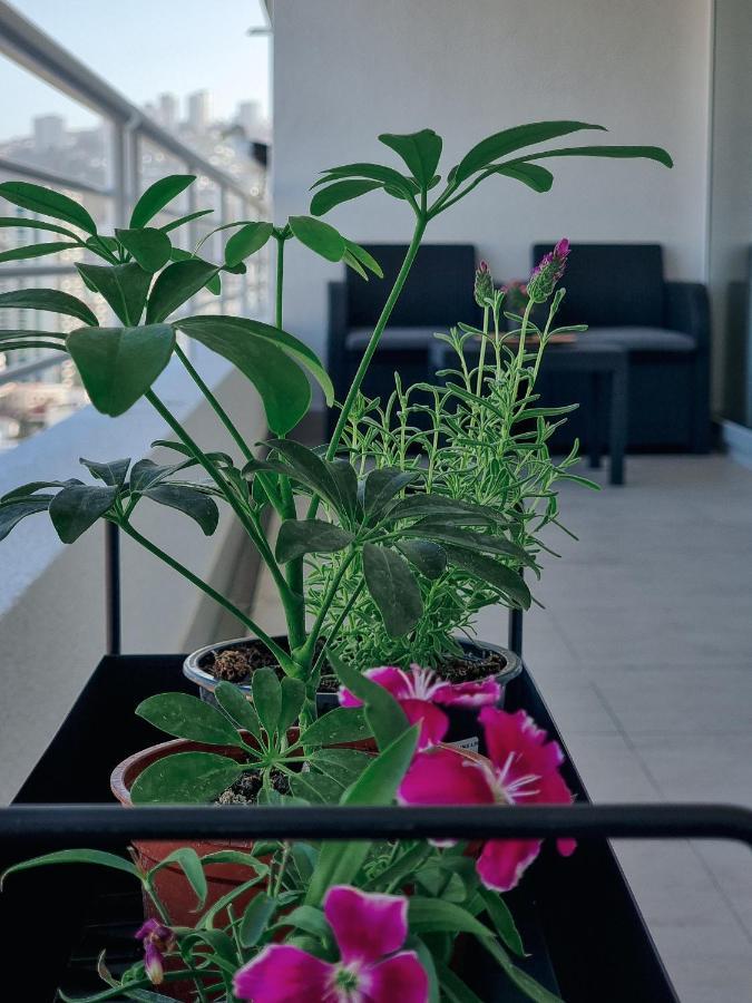 Exclusivo Departamento A Pasos De La Playa En Vina